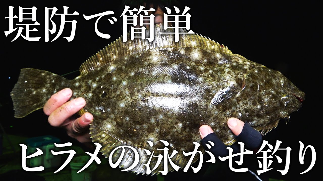 堤防から狙うヒラメの簡単泳がせ釣りと［釣果がさらに上がる方法］を紹介！