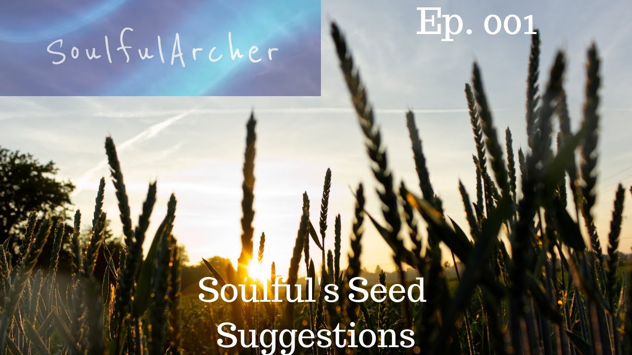 Soulful's Seed Suggestions Ep 001