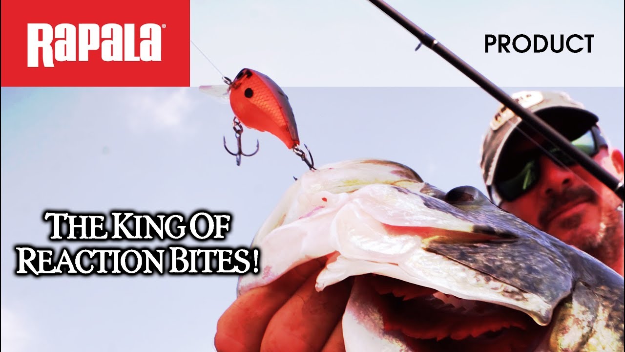 The Best Square-Bill Crankbait: The Rapala® BX™ Brat