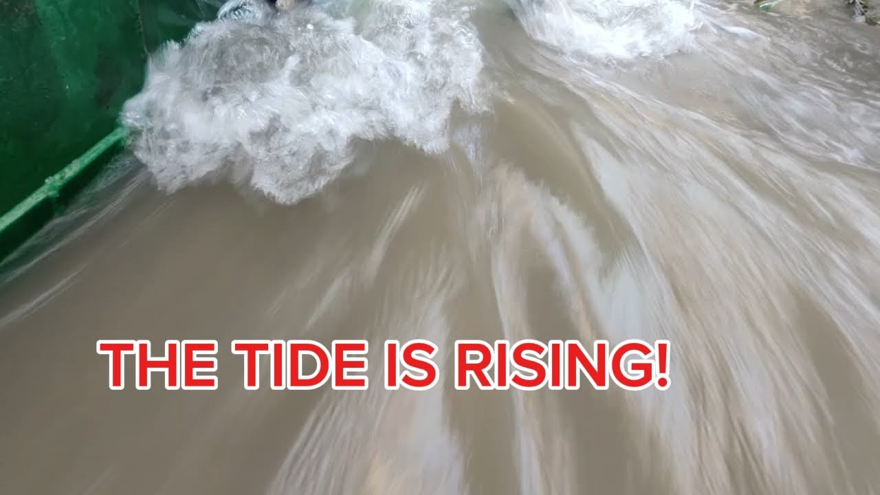 Grounded in Shallow Water | Waiting for the Rising Tide (Mekong River)