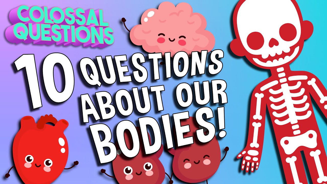 10 Wildest Questions About Our Bodies! | COLOSSAL QUESTIONS