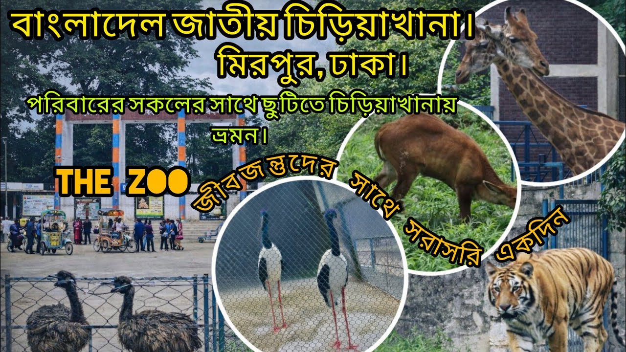মিরপুর জাতীয় চিড়িয়াখানা ভ্রমণ ২০২৬ |পরিবার নিয়ে দারুণ একটা দিন ছিলো ।  Mirpur Zoo Vlog 2026। 