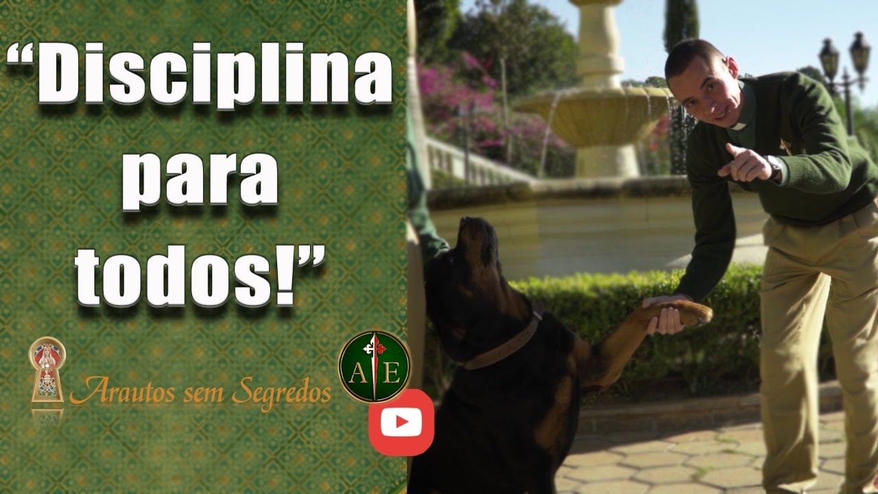 Disciplina para todos! (Arautos sem segredos 13 jul 2021)