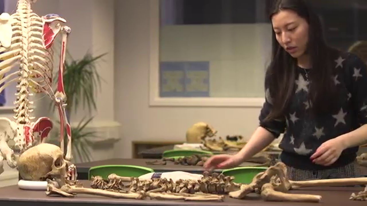 Determining Biological Sex - Human Osteology Introduction 3 of 4