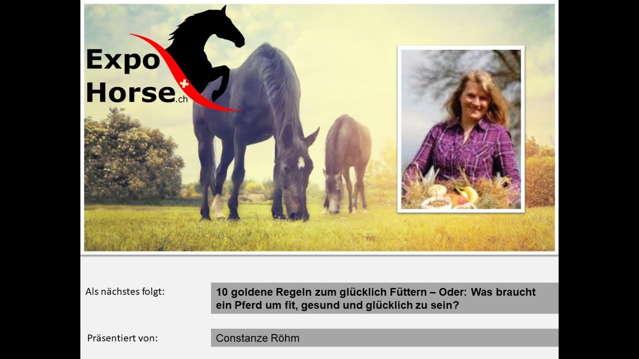 ExpoHorse Vortrag 2017: 10 goldene Regeln zum glücklich Füttern von Constanze Röhm
