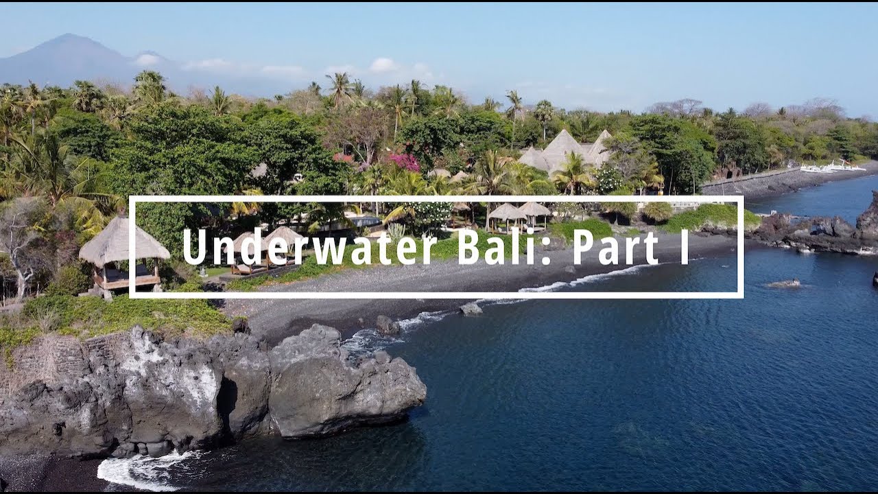 Underwater Bali: Part I