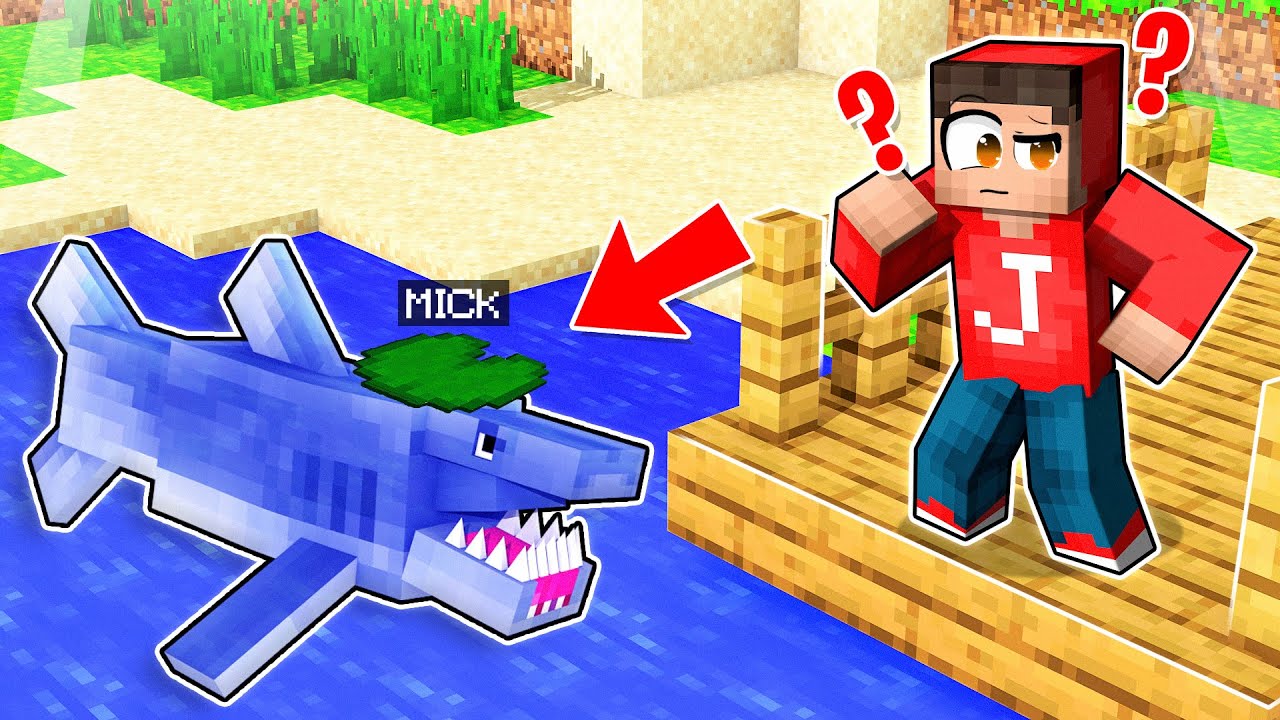 VERSTOPPERTJE Spelen Als MOBS In Minecraft!