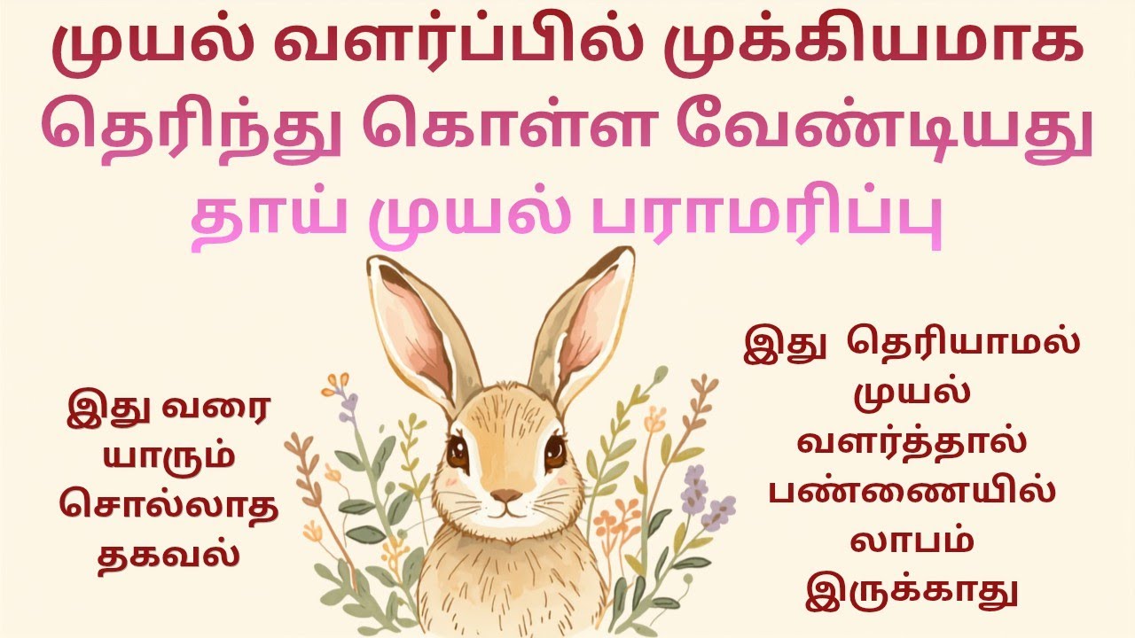 தாய் முயல் பராமரிப்பு மூலம் அதிக லாபம் ஈட்டுவது எப்படி #rabbit #viral #shorts #short #trending #pets