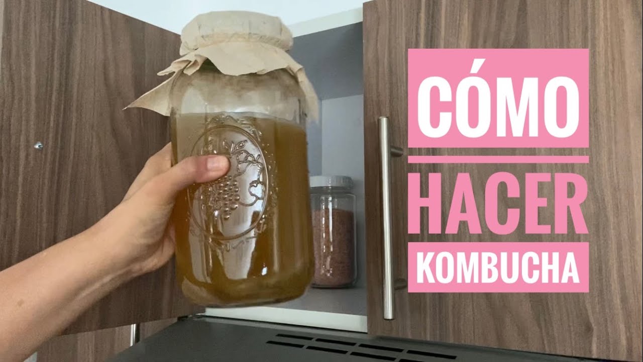CÓMO PREPARAR/HACER KOMBUCHA EN CASA