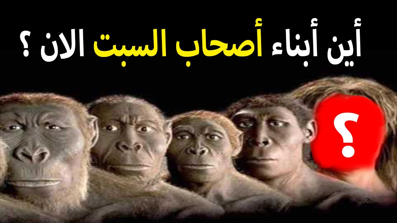 لماذا مسخ الله اصحاب السبت قردة بالذات ؟؟ وأين أبنائهم الان ؟؟