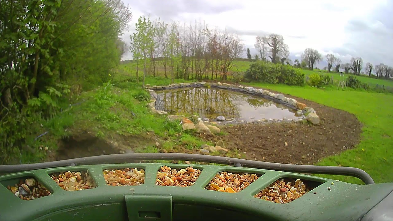 Carlow Weather Live Stream #BirdfyLive