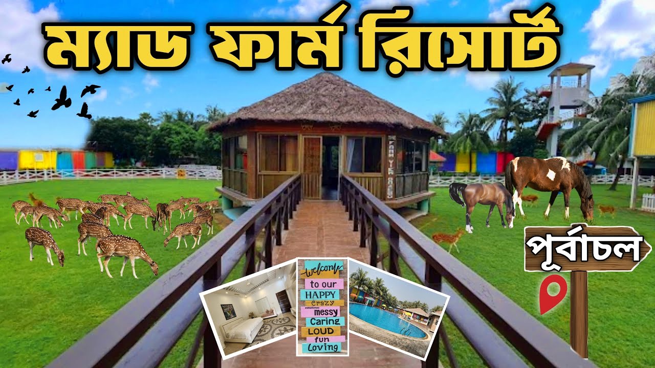 The Mad Farm Resort Purbachal। দ্য ম্যাড ফার্ম রিসোর্ট পূর্বাচল। Resort Near 300 Feet