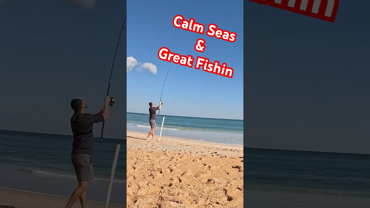 Whiting caught on a sunny day in Florida 