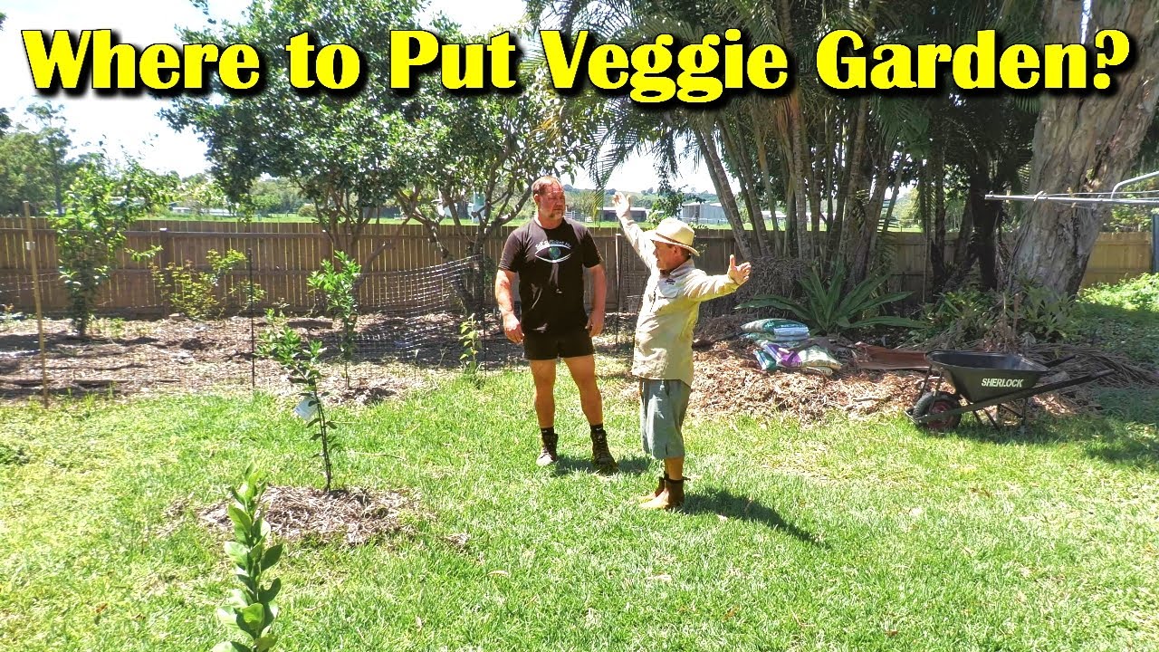 Choosing the Best Position for a Vegetable Garden
