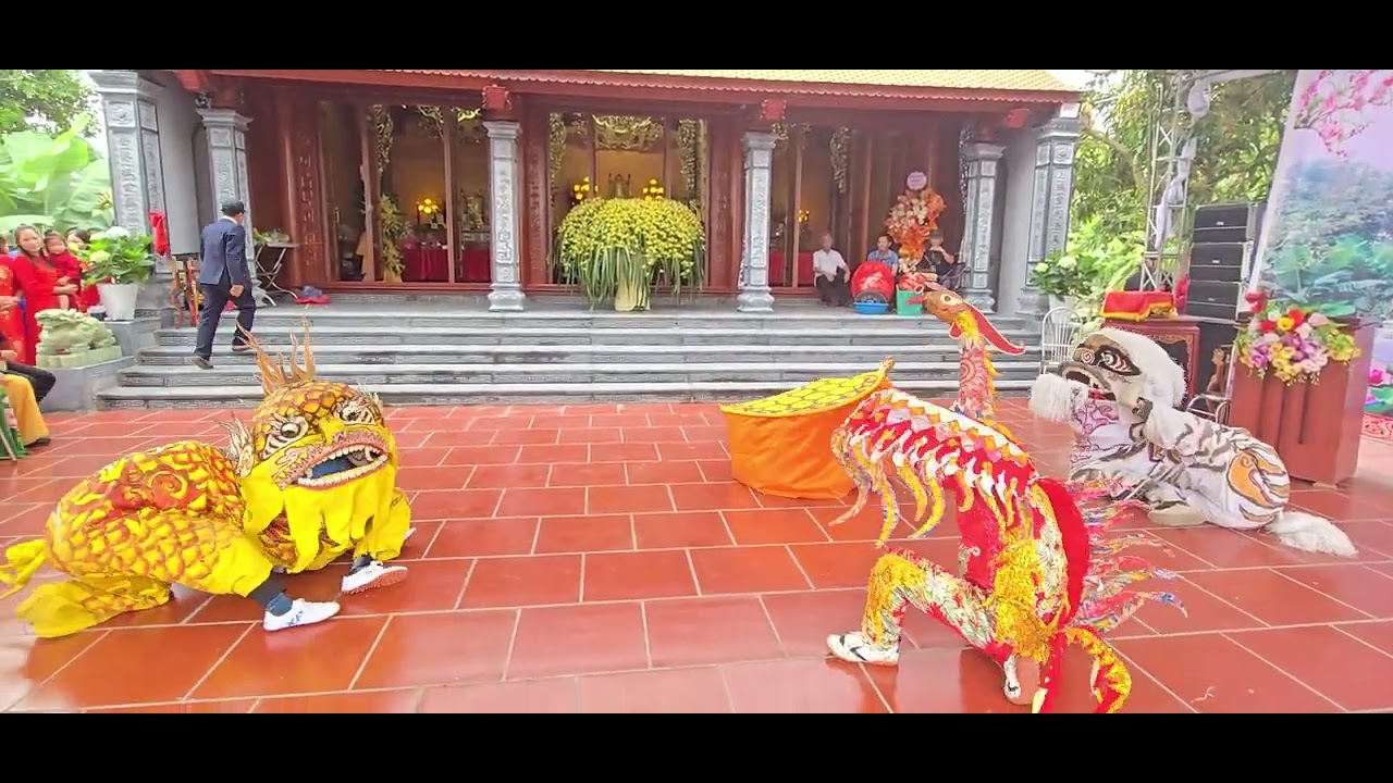 Múa lân mừng khánh thành nhà thờ 3 Họ Nguyễn bá, làng chanh chử, Vĩnh Thịnh, Hải Phòng .