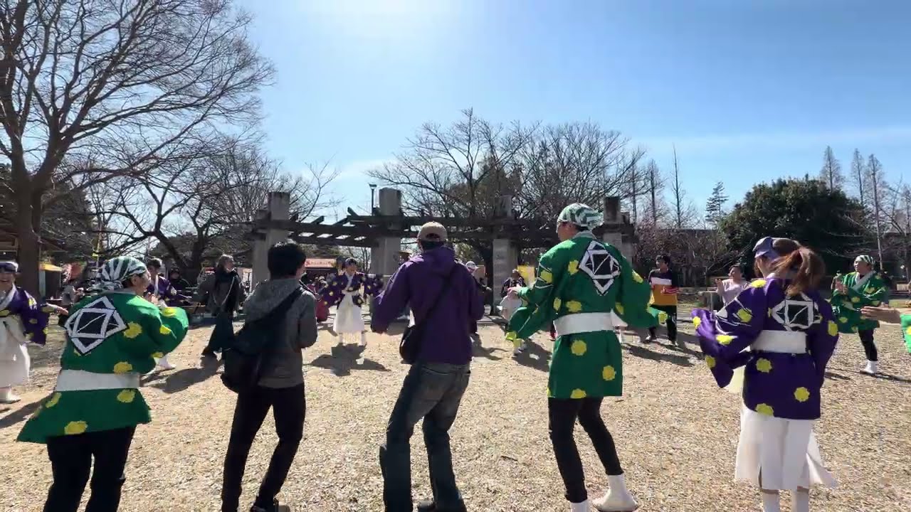【別画角】いりゃあせ南都　総踊り『うらじゃ音頭』梅まつり2026