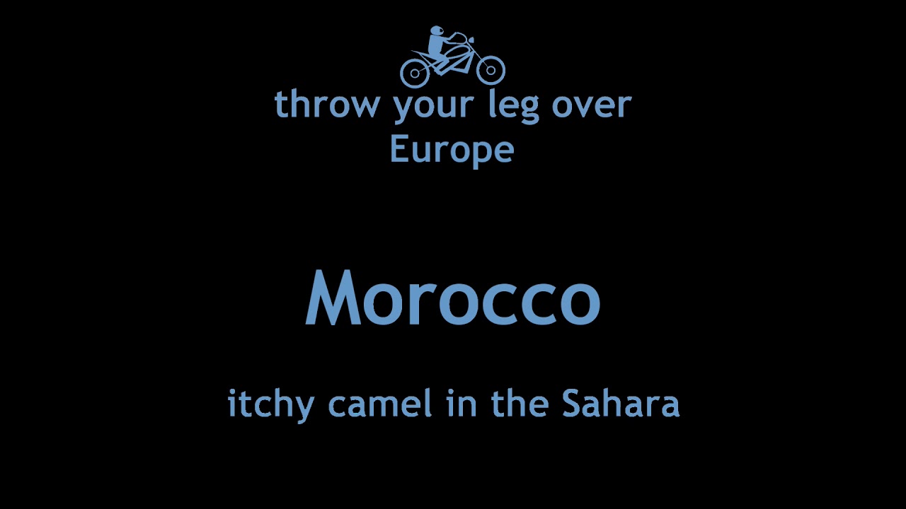 Morocco 4: itchy camel in the Sahara