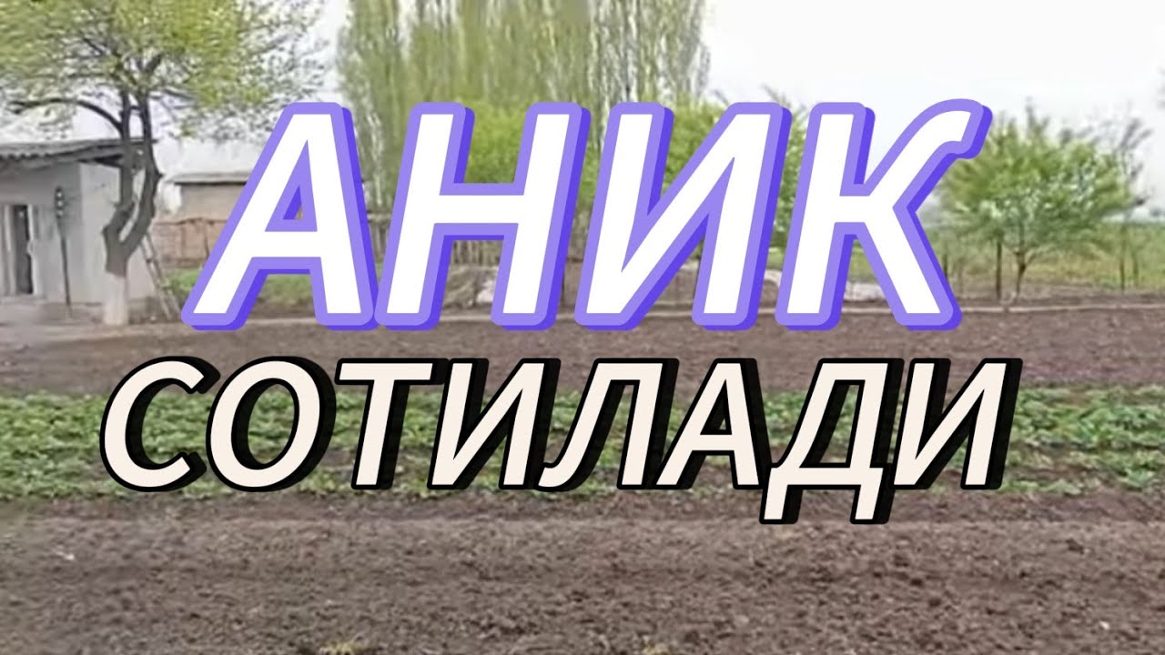 21-СОТОКЛИ УЙ-ЖОЙ СОТИЛАДИ. ТОШКЕНТ ВИЛОЯТИ УРТАЧИРЧИК ТУМАНИ КУЧЛЮК МФЙ.