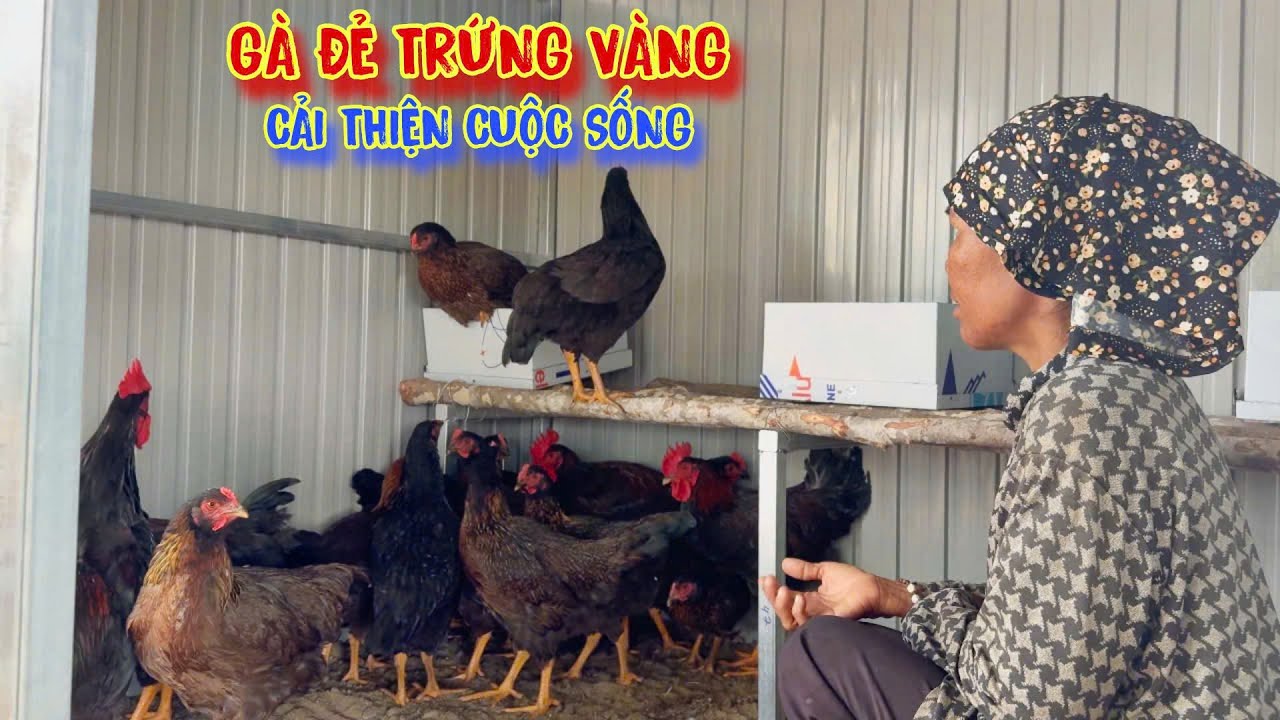 TẶNG QUÀ, cho đi là còn mãi, một người vui, triệu người hạnh phúc - tập 1321