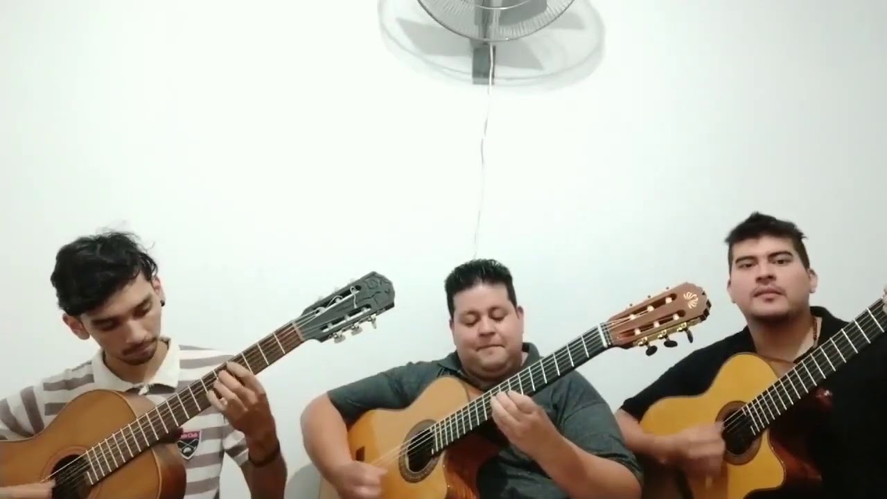 Gato del Santo de Nelson Scalisi