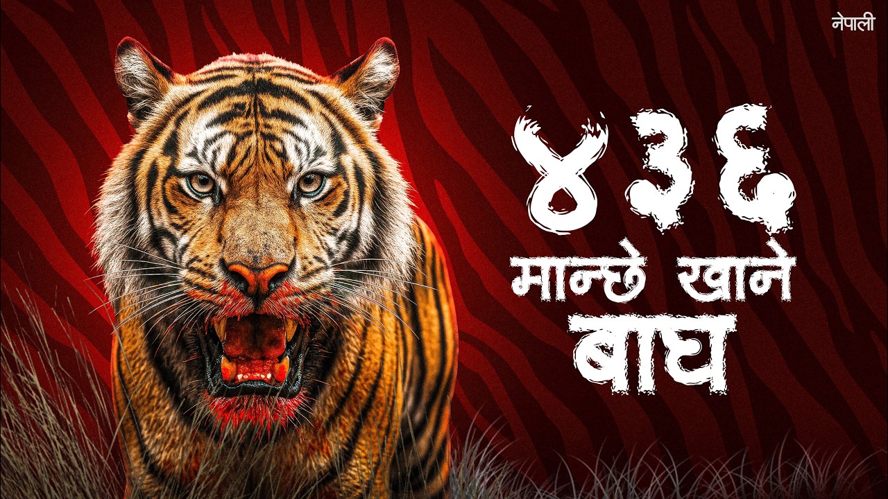 The Hunt for World's Deadliest Man-Eater in Nepal