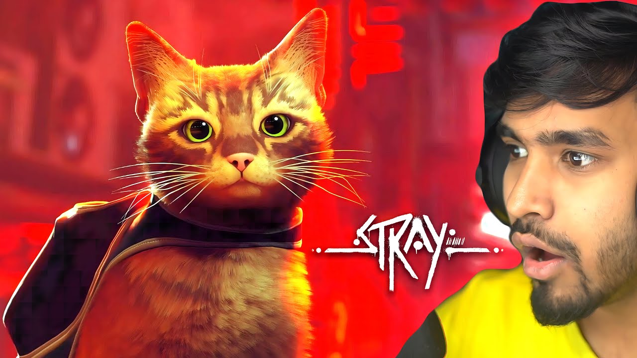 MY CUTE CAT LOST IN CYBERPUNK CITY | STRAY GAMEPLAY #3