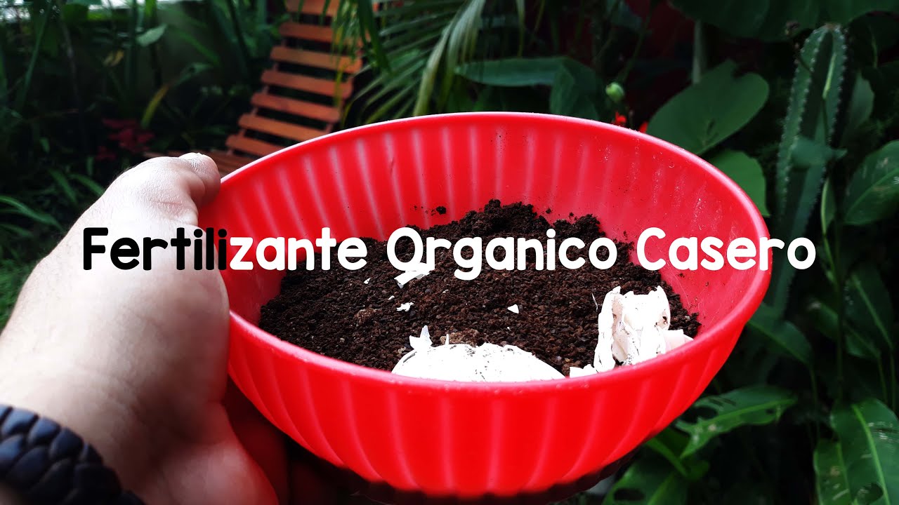 fertilizantes para plantas l Café y cascara de huevo  🌿