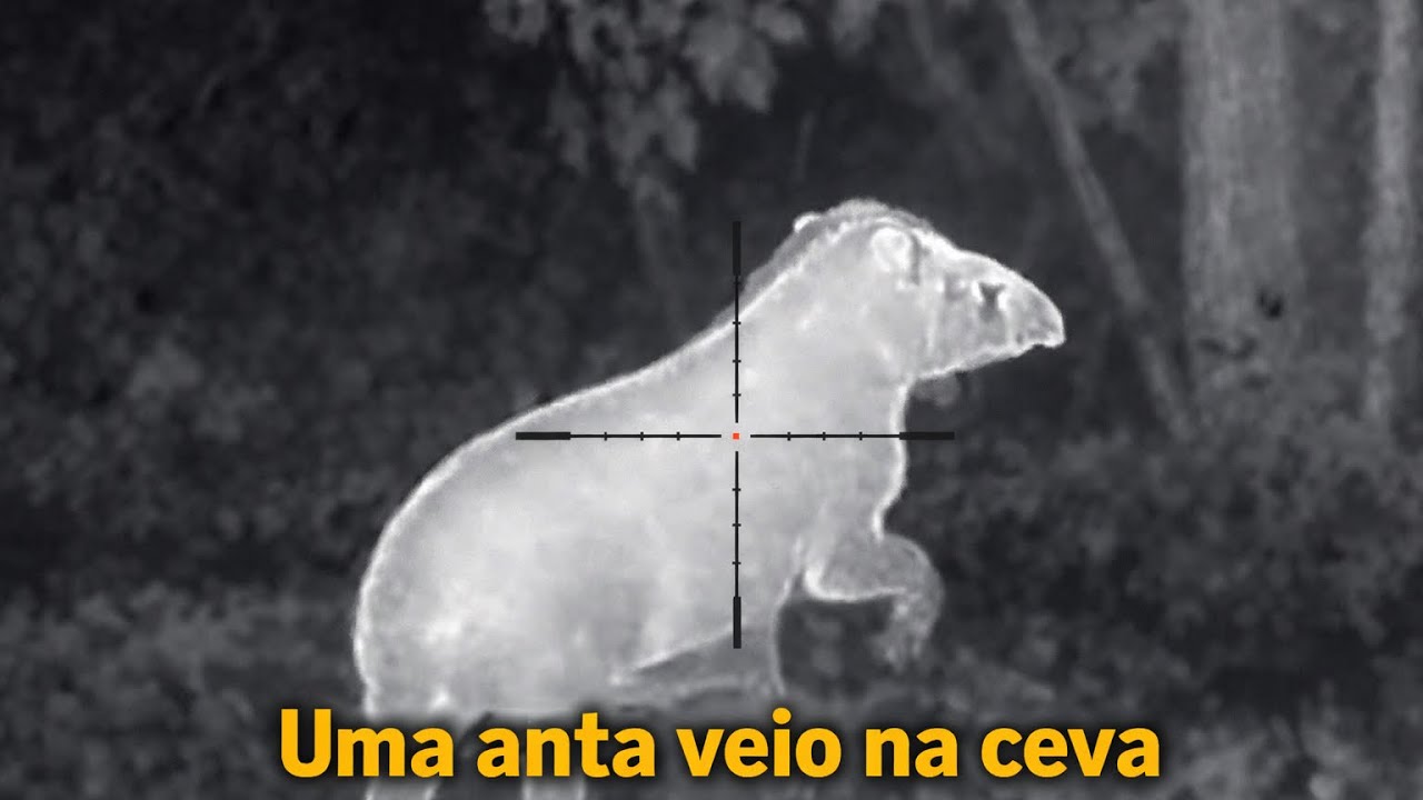 🔥 UMA ANTA VEIO NA CEVA | Mira térmica LM02 em ação