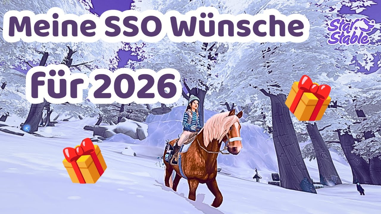 Meine SSO Wünsche 2026 / Leveltalk