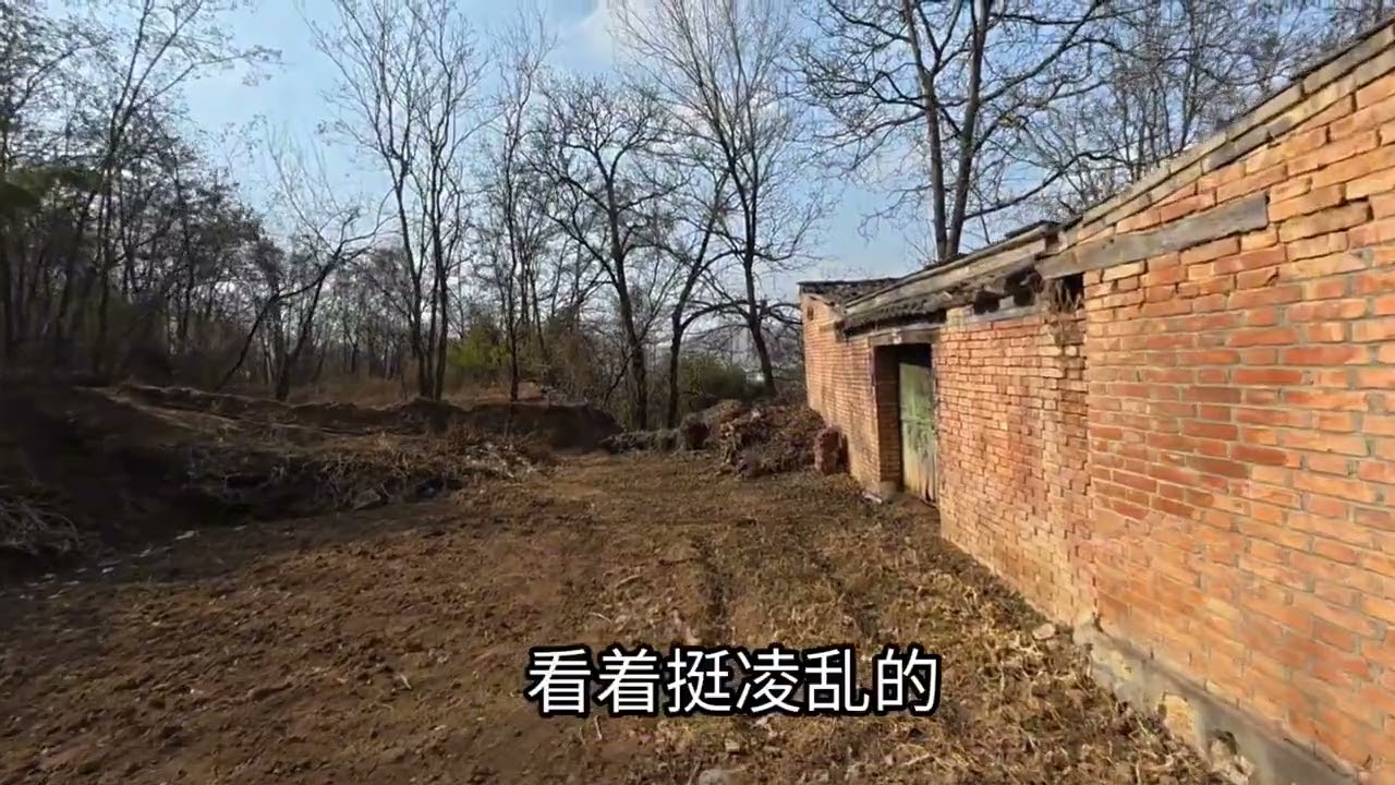 老家的院子荒废了，当初花了十多万的房子，如今白送都没人要