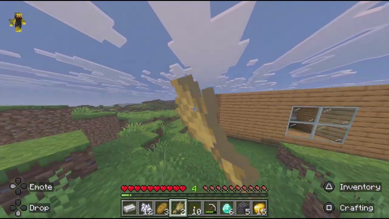 Minecraft_20260122144639