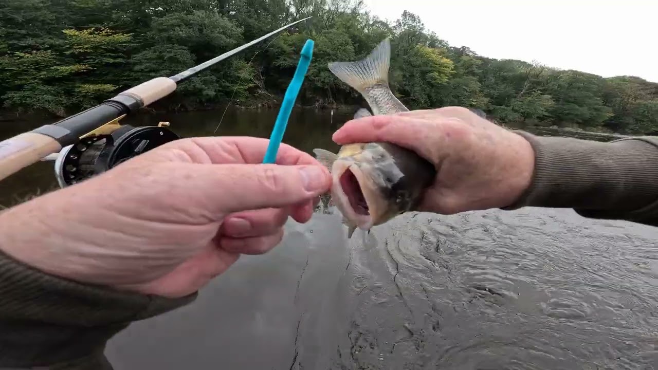 A Trip Out To Test the New Normark Avenger Legacy Rod