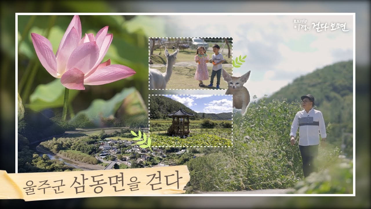 울주군 삼동면을 걷다[JCN이경의 걷다보면_시즌4_7회]
