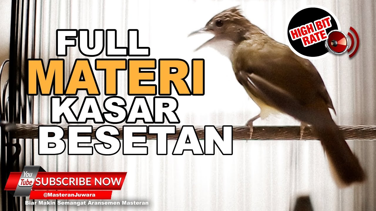 #1 🔴Suara Cucak Jenggot Gacor Speed Rapat Full Beset❗️Materi Jenggot Mewah Ini