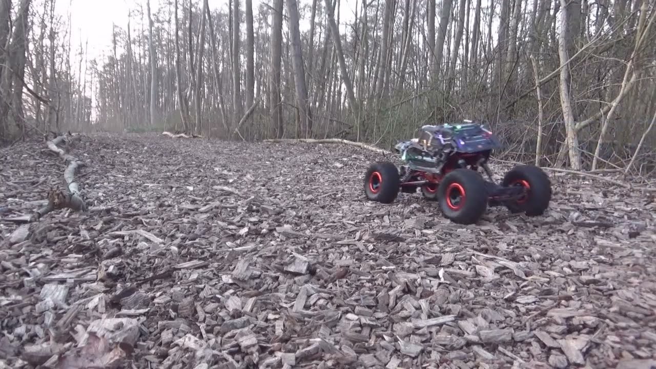 a walk through the forest until nightfall