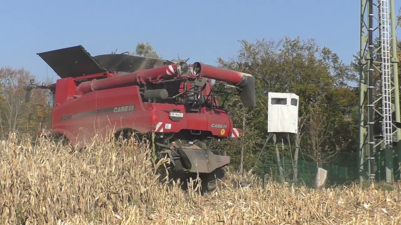 LU Hauptmann CASE IH Axial Flow Mährescher mit 9 Reihigen Geringhoff Maispflücker beim Dreschen von