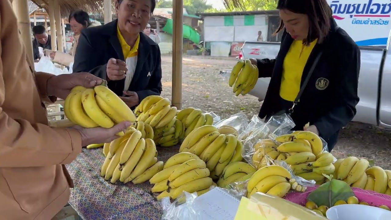 นำเสนอ สำนักงานเกษตรนิคมคำสร้อย
