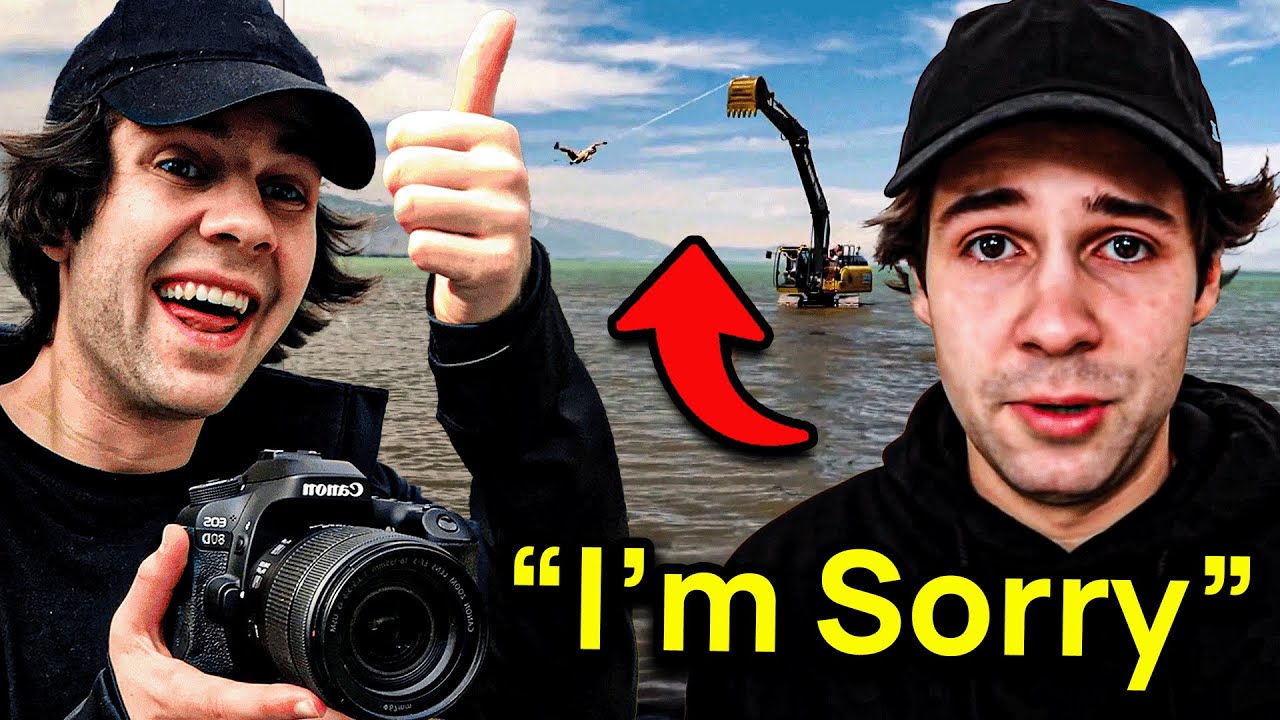 The Rise And Fall Of David Dobrik