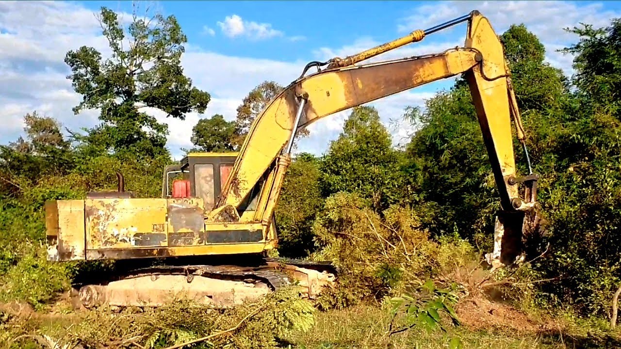 Old but Gold – Excavator Smashes Through the Jungle!