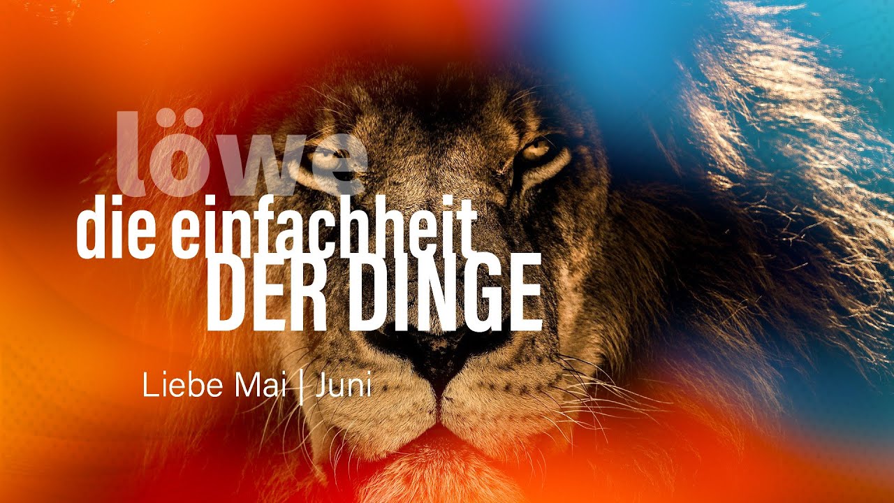 Löwe Liebe Mai | Juni: Die Einfachheit der Dinge💓
