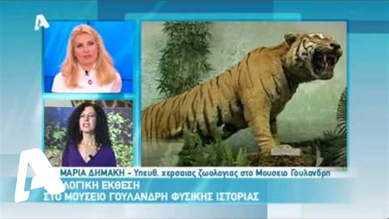 Ελένη - 20/11/13