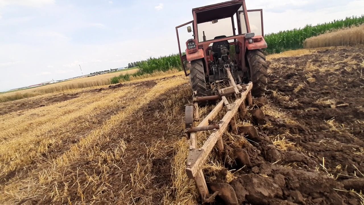 Pierwsza podorywka w sezonie/ idzie jak dzik w kukurydzę