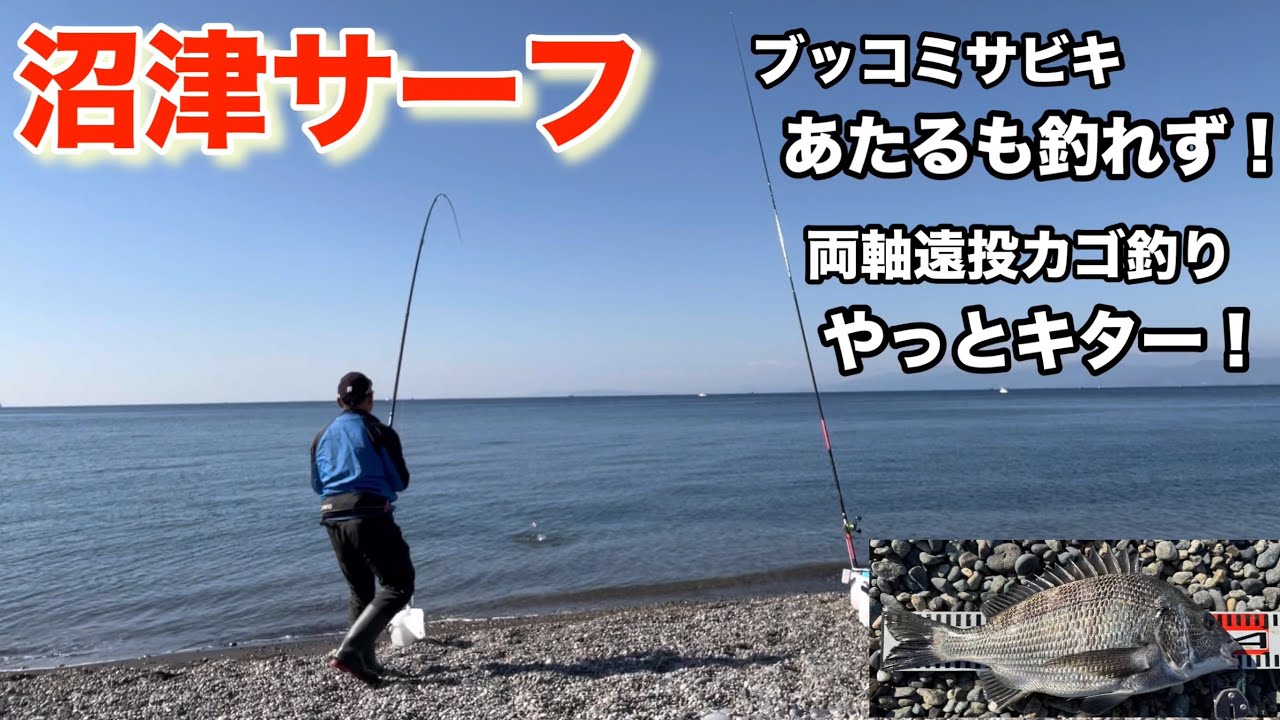 【沼津サーフ】ブッコミサビキ、あたるも釣れず！カゴ釣り、やっとキター！