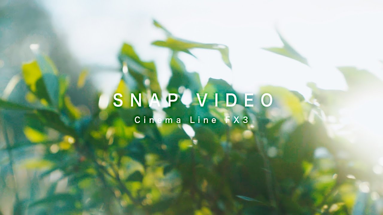 SNAP VIDEO IN JAPAN Kenko NOSTALTONE ORANGE「ただの日常 」 SONY Cinema Line FX3