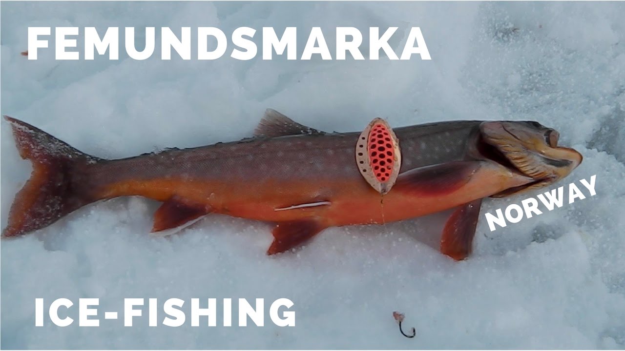 Isfiske etter røye, Femundsmarka  #2