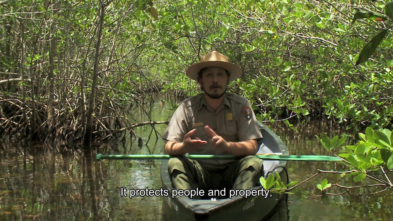 Connections: Exploring Biscayne National Park (Episode 01- Mangroves)