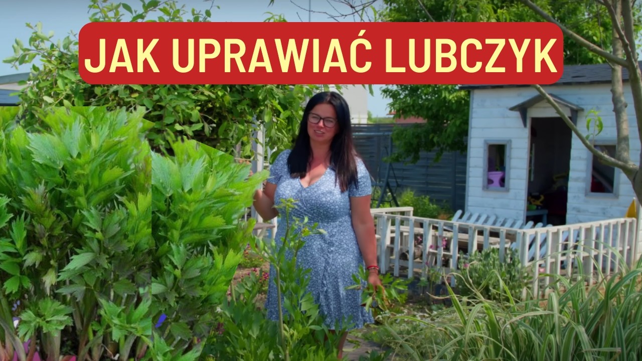 JAK UPRAWIAĆ LUBCZYK   | Kasia in