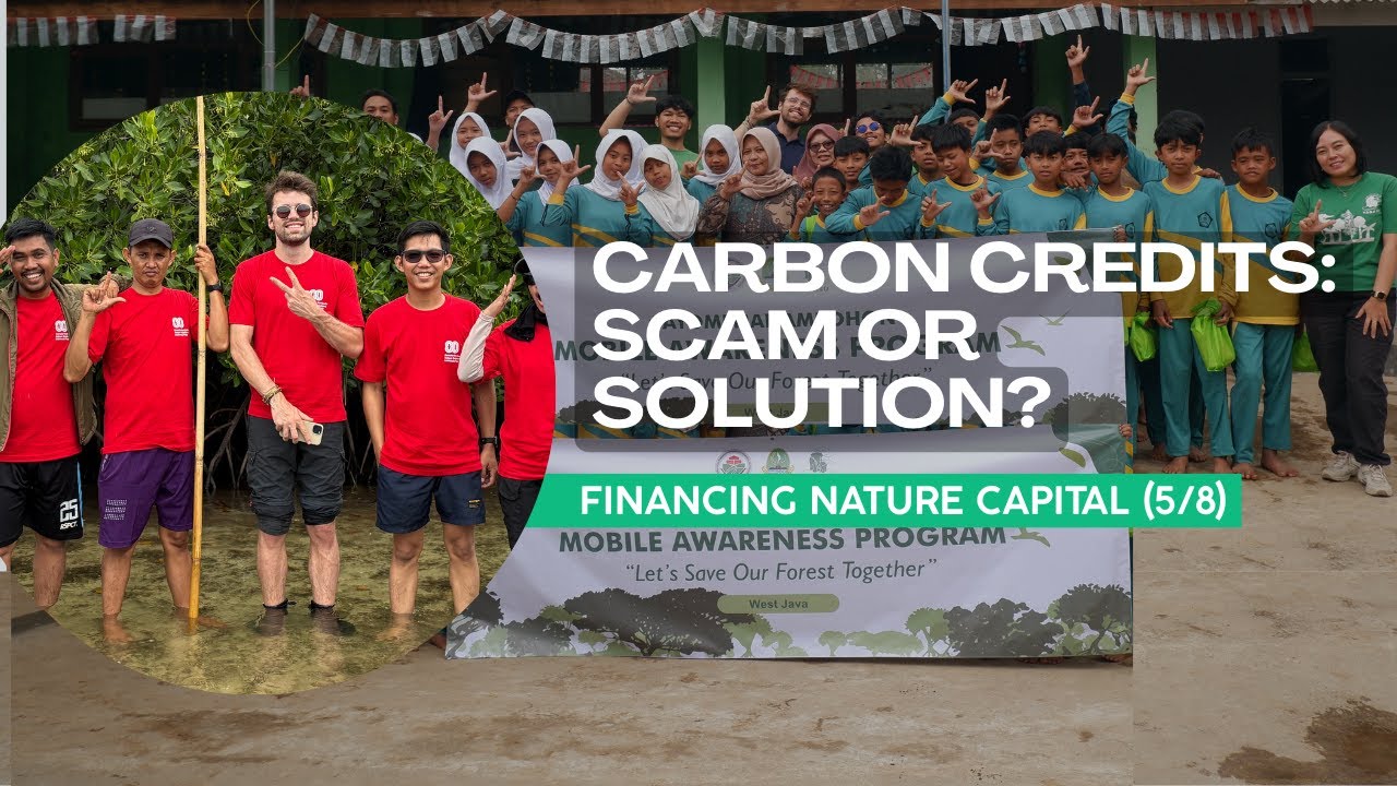 Carbon Credits: Scam or Solution? | Financing Natural Capital (5/8)
