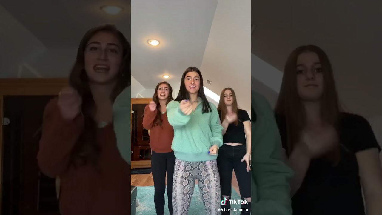 Charli Damelio THROWBACK renegade tiktok with Gemma