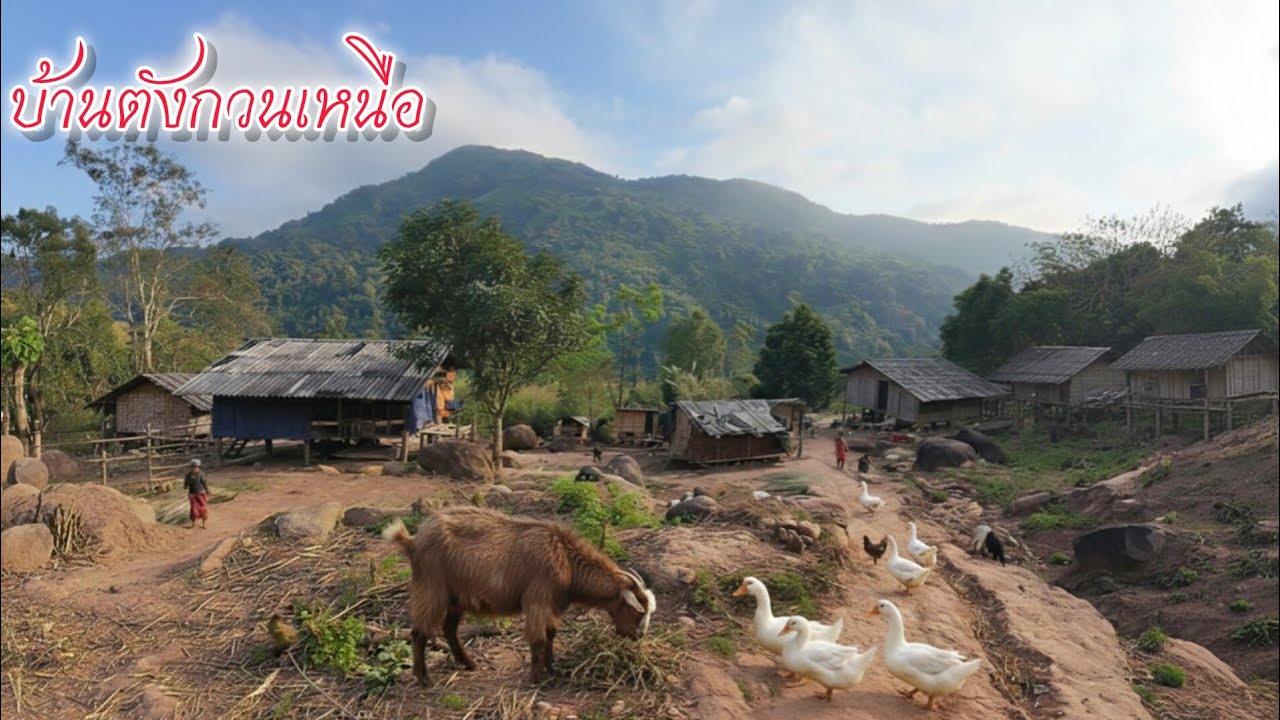 บ้านตังกวนเหนื่อ